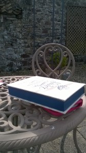 WP_20150410_14_15_42_Pro