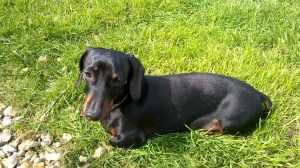 WP_20150410_14_16_17_Pro