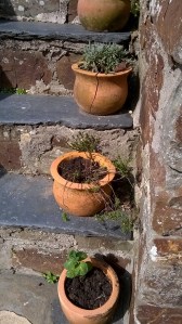 WP_20150410_14_59_18_Pro