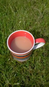 WP_20150410_15_01_38_Pro