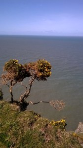 WP_20150411_14_05_53_Pro