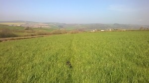 WP_20150414_16_56_12_Pro