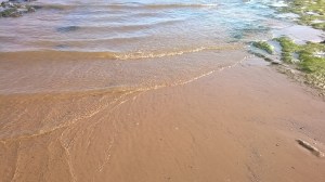 WP_20150421_16_31_32_Pro