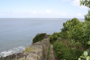 IMG_0691