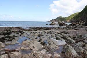 IMG_0743