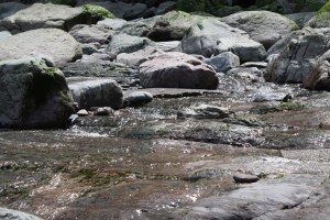 IMG_0754