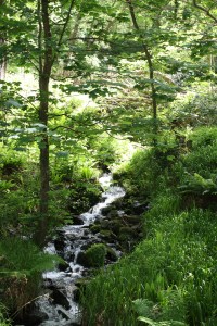 IMG_0771