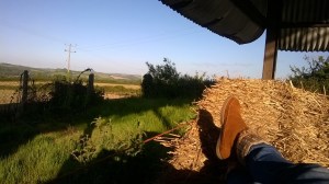 WP_20150603_19_23_44_Pro