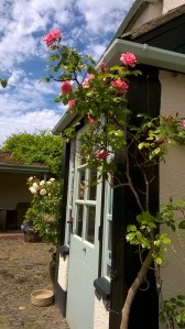 WP_20150604_12_45_12_Pro