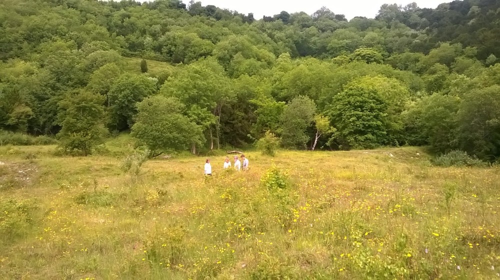 WP_20150628_10_53_54_Pro