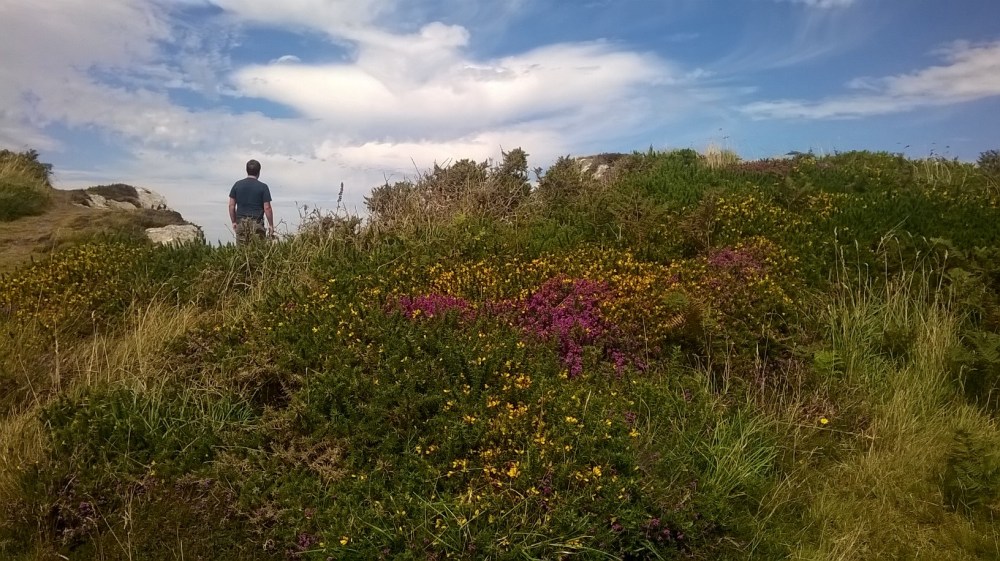 WP_20150802_14_31_56_Pro