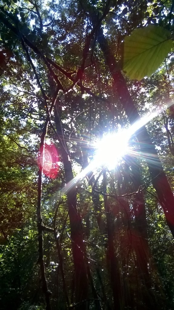 WP_20150823_16_48_12_Pro