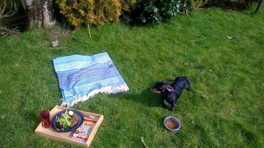 WP_20160311_13_24_51_Pro